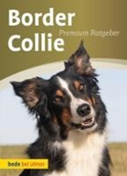 Border Collie, Annette Schmitt - Gebonden - 9783800167319