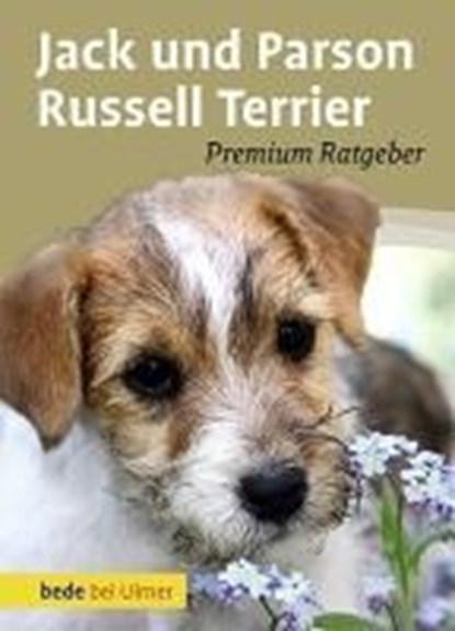 Jack und Parson Russell Terrier, Annette Schmitt - Gebonden - 9783800167357