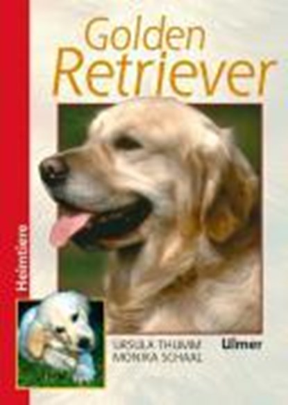 Golden Retriever, Ursula Thumm ; Monika Schaal - Gebonden - 9783800174904