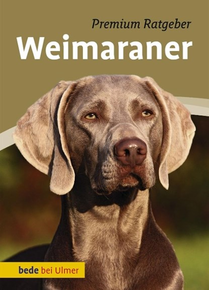 Weimaraner, Annette Schmitt - Gebonden - 9783800177462