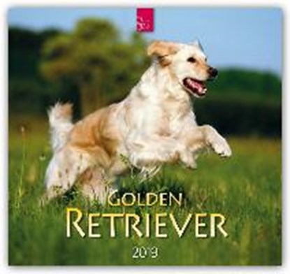 Golden Retriever 2019, niet bekend - Paperback - 9783800359509