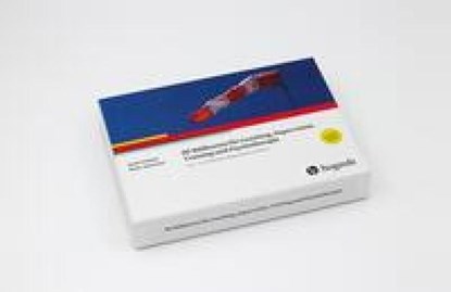 80 Bildkarten für Coaching, Supervision, Training und Psychotherapie, Evelin Fräntzel ; Dieter Johannsen - Losbladig - 9783801729400