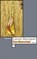 Von Menschen, Laurent Mauvignier - Paperback - 9783803128577