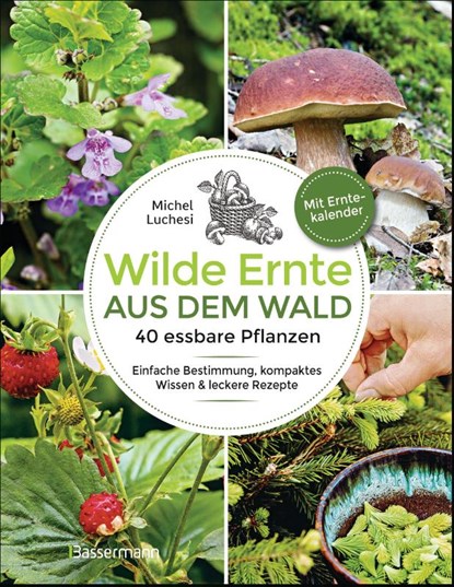 Wilde Ernte aus dem Wald - 40 essbare Pflanzen - einfache Bestimmung, kompaktes Wissen und leckere Rezepte, Michel Luchesi - Paperback - 9783809449355