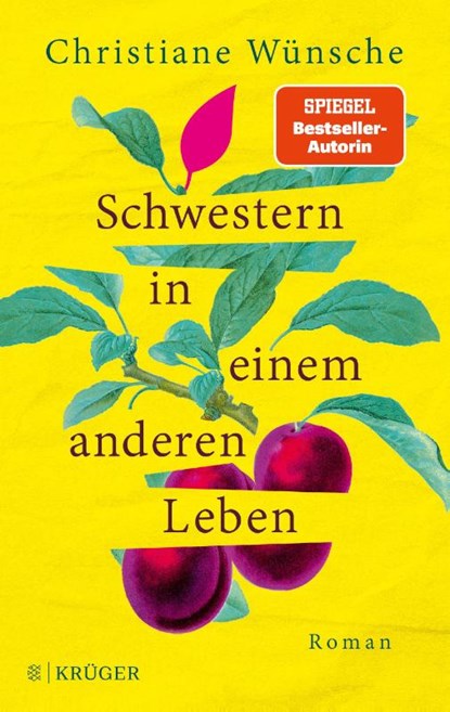 Schwestern in einem anderen Leben, Christiane Wünsche - Paperback - 9783810530936