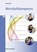 Wirtschaftskompetenz, Hermann Speth ; Eberhard Boller - Paperback - 9783812006910