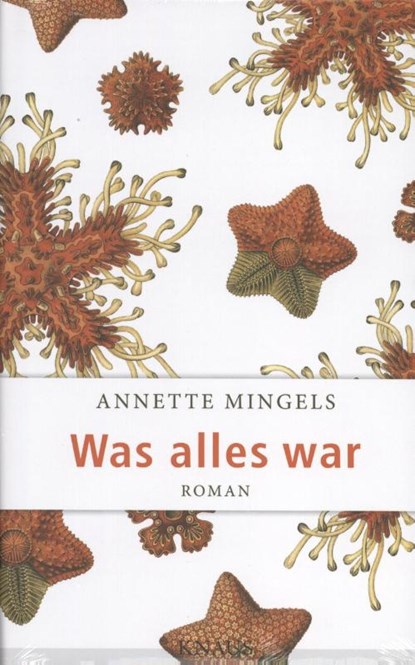Mingels, A: Was alles war, MINGELS,  Annette - Gebonden - 9783813507553