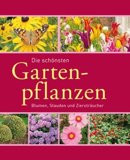 Die schönsten Gartenpflanzen, Joachim Mayer ; Folko Kullmann - Ebook - 9783815586068