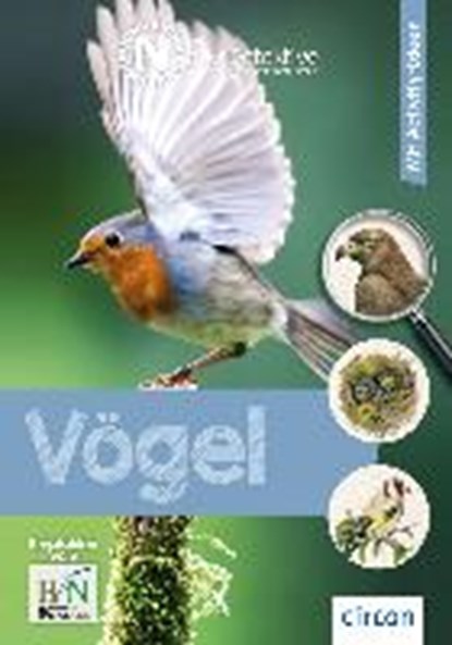 Vögel, STEENBOCK,  Greta - Paperback - 9783817419043