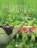 Das große Gartenbuch, HIMMELHUBER,  Peter - Overig - 9783817499649