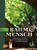 Baum und Mensch, Rudi Beiser - Gebonden - 9783818600723