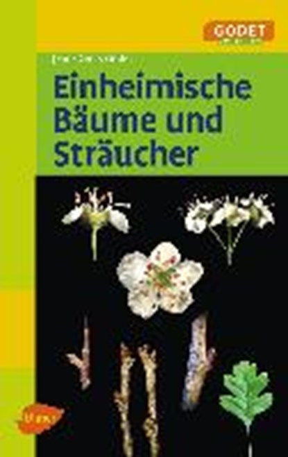 Godet, J: Einheimische Bäume und Sträucher, GODET,  Jean-Denis - Paperback - 9783818603816