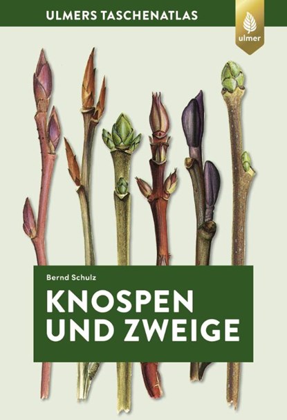 Knospen und Zweige, Bernd Schulz - Paperback - 9783818608200
