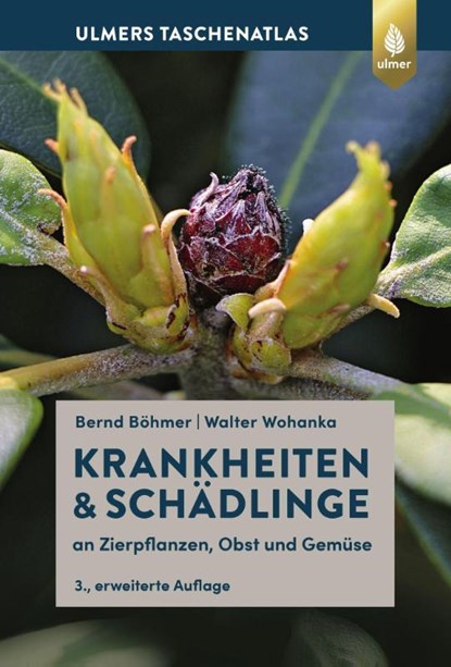 Krankheiten & Schädlinge an Zierpflanzen, Obst und Gemüse, Bernd Böhmer ; Walter Wohanka - Gebonden - 9783818609528