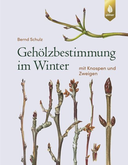 Gehölzbestimmung im Winter, Bernd Schulz - Gebonden - 9783818611385
