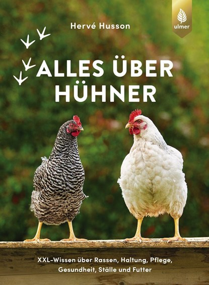 Alles über Hühner, Hervé Husson - Gebonden - 9783818615192