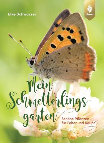 Mein Schmetterlingsgarten, Elke Schwarzer - Paperback - 9783818616342