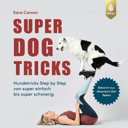 Super Dog Tricks, Sara Carson - Paperback - 9783818617615
