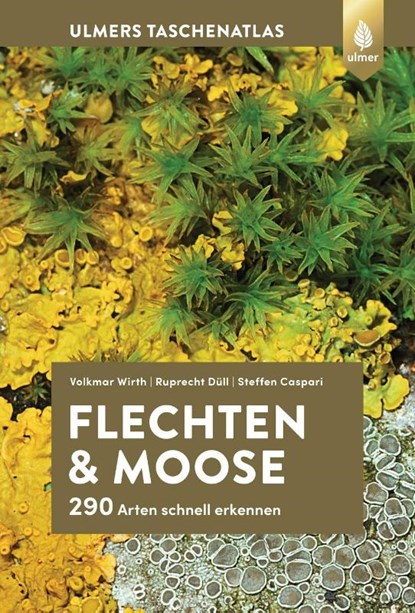 Flechten und Moose, Volkmar Wirth ; Ruprecht Düll ; Steffen Caspari - Gebonden - 9783818620509