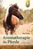 Aromatherapie für Pferde, Sylvia Pusch - Paperback - 9783818625702