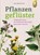 Pflanzengeflüster, Jean-Michel Groult - Paperback - 9783818627065