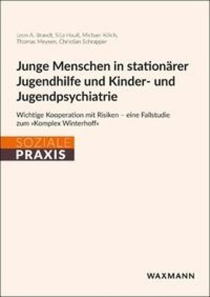 Junge Menschen in stationärer Jugendhilfe und Kinder- und Jugendpsychiatrie, Leon A. Brandt ; Silja Hauß ; Michael Kölch ; Thomas Meysen - Paperback - 9783818800314