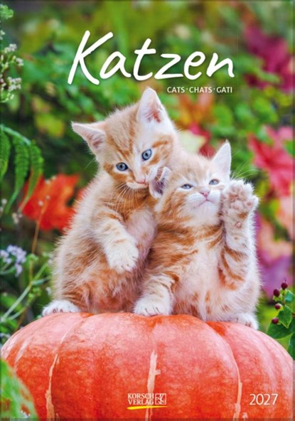Katzen 2027, Verlag Korsch - Paperback - 9783819300608