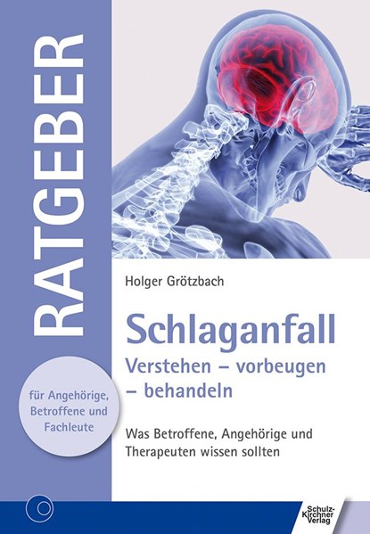 Schlaganfall, Holger Grötzbach - Paperback - 9783824812349