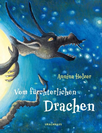 Vom fürchterlichen Drachen, Annina Holzer - Gebonden - 9783825153502