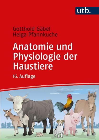 Anatomie und Physiologie der Haustiere, Gotthold Gäbel ; Klaus Loeffler ; Helga Pfannkuche - Paperback - 9783825261511