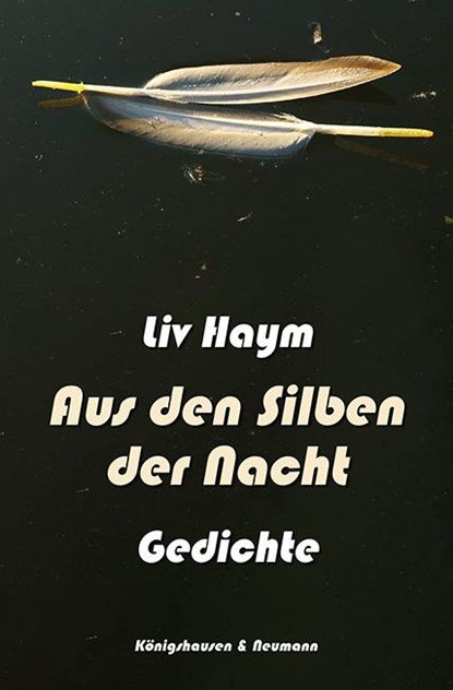 Aus den Silben der Nacht, Liv Haym - Paperback - 9783826092664