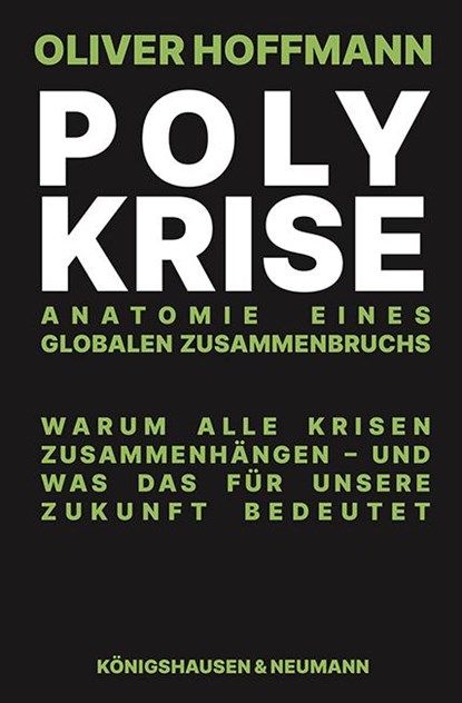 Polykrise, Oliver Hoffmann - Paperback - 9783826093883