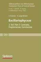 Bacillariophyceae | Krammer, Kurt ; Lange-Bertalot, Horst | 