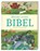 Meine erste Bibel, James Harrison - Gebonden - 9783831038299