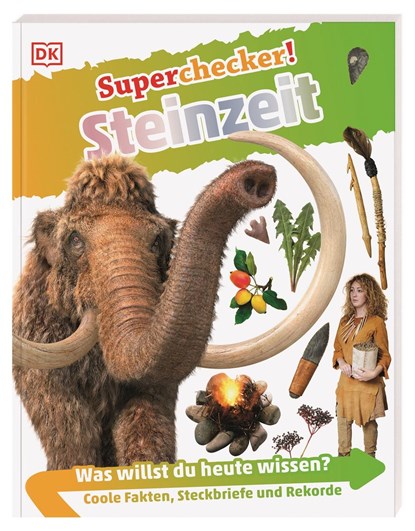 Superchecker! Steinzeit, Klint Janulis - Paperback - 9783831041183