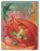 Magische Welt der Drachen, Tamara Macfarlane - Gebonden - 9783831044658