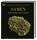 Samen, Wolfgang Stuppy ; Rob Kesseler - Gebonden - 9783831049974