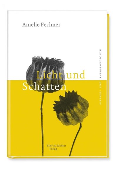 Licht und Schatten, Amelie Fechner - Gebonden - 9783831907090