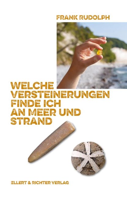 Welche Versteinerungen finde ich an Meer und Strand, Frank Rudolph - Paperback - 9783831908547