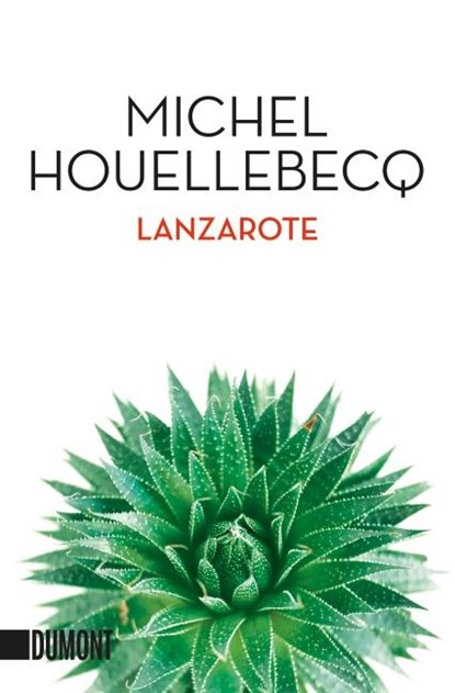 Lanzarote, Michel Houellebecq - Paperback - 9783832163549