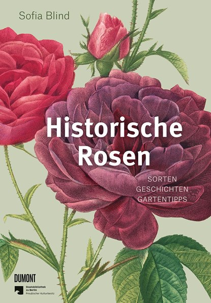 Historische Rosen, Sofia Blind - Gebonden - 9783832169268