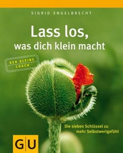 Lass los, was dich klein macht, Sigrid Engelbrecht - Ebook - 9783833825392
