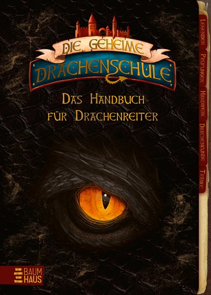 Die geheime Drachenschule - Das Handbuch für Drachenreiter, Emily Skye - Gebonden - 9783833908187