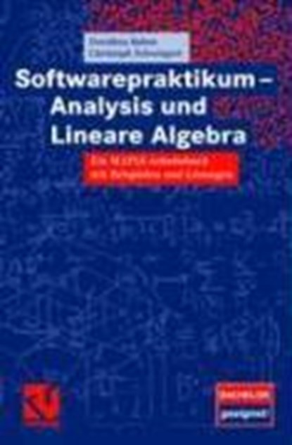 Softwarepraktikum - Analysis und Lineare Algebra, BAHNS,  Dorothea ; Schweigert, Christoph - Paperback - 9783834803702