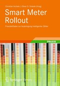Smart Meter Rollout | Aichele, Christian ; Doleski, Oliver | 
