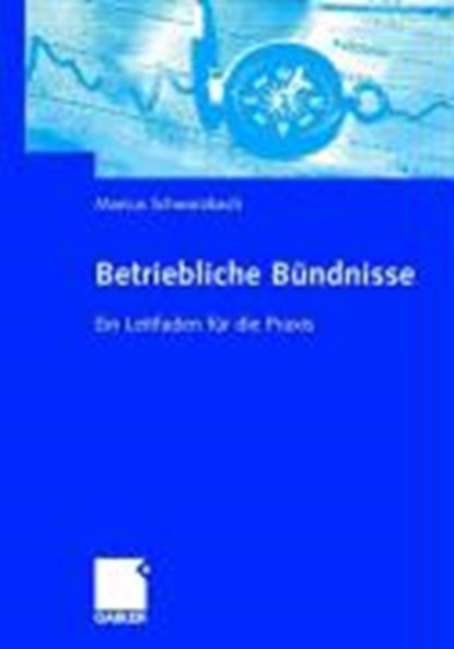 Betriebliche Bundnisse, Marcus Schwarzbach - Paperback - 9783834902375
