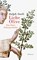 Liebe Olive, Ralph Dutli - Gebonden - 9783835313743