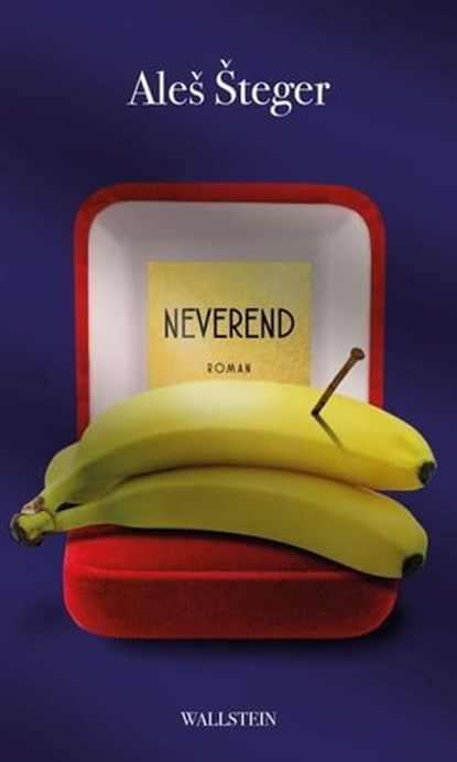 Neverend, Aleš Šteger - Ebook - 9783835348004