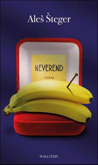 Neverend, Ales Steger - Gebonden - 9783835350069