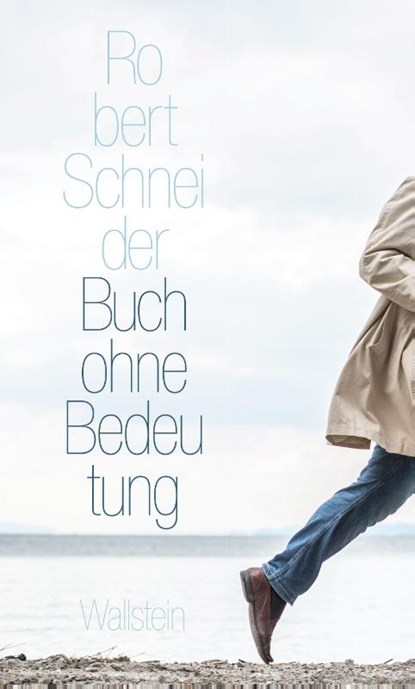 Buch ohne Bedeutung, Robert Schneider - Gebonden - 9783835351950